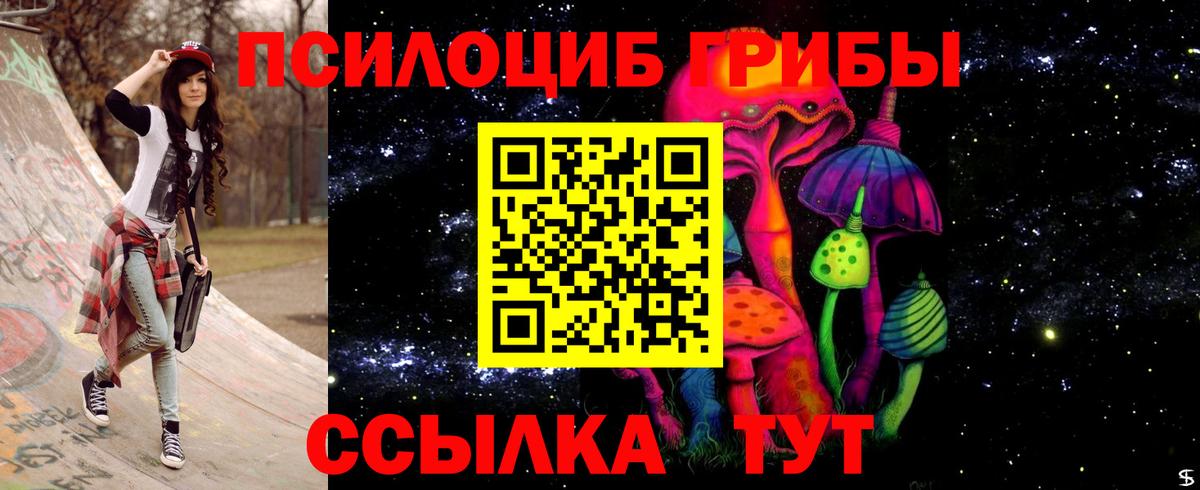 Галлюциногенные грибы Psilocybine cubensis Тайшет