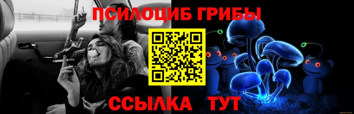 Псилоцибиновые грибы GOLDEN TEACHER  наркота  Тайшет  Вход с VPN 